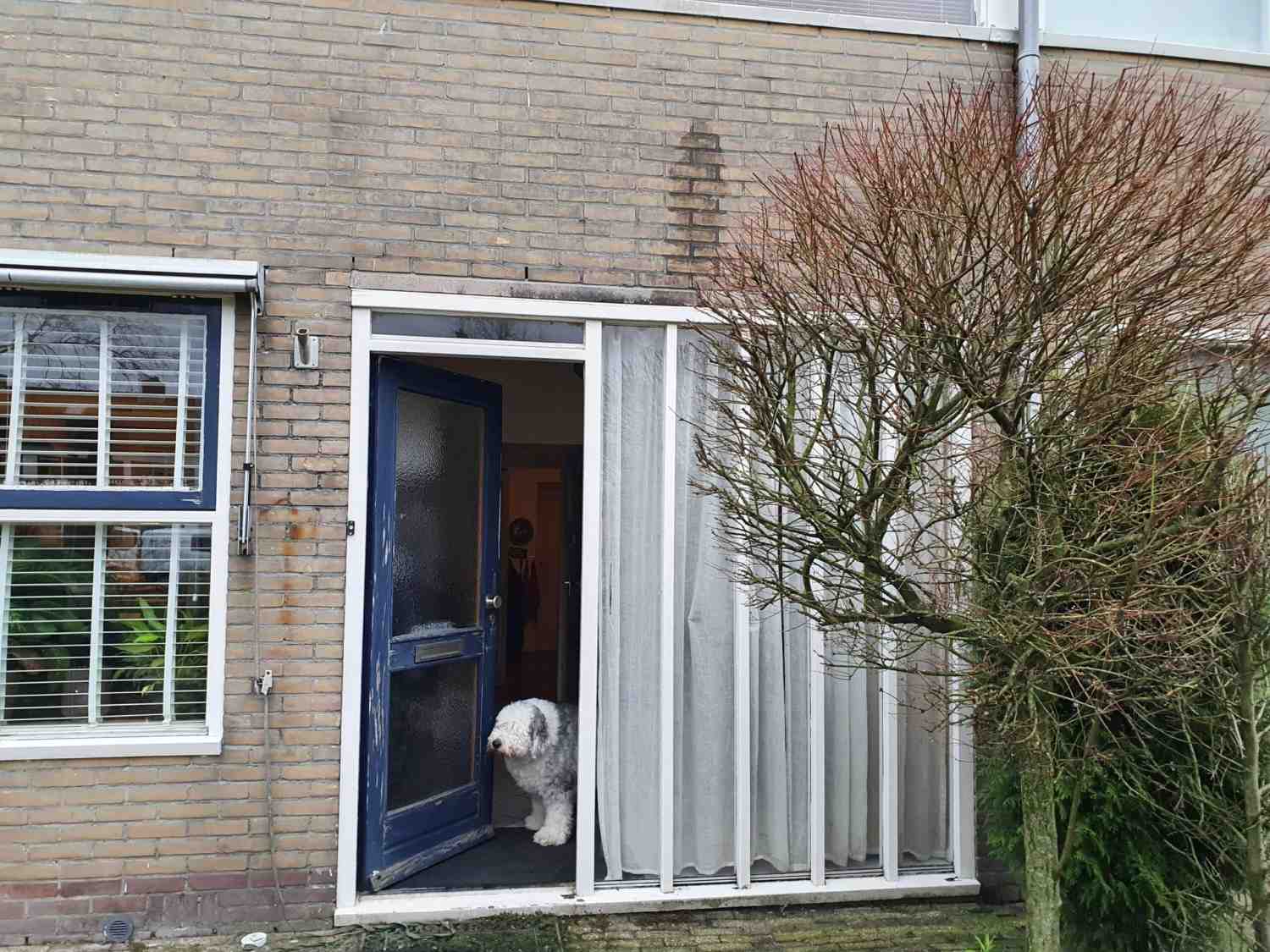 Verouderde houten kozijnen deuren